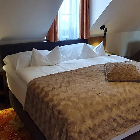 Hotel Singer Ludvíkov