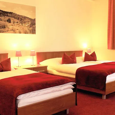 Hotel Singer 4*