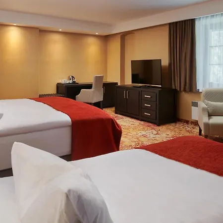 Hotel Singer 4*