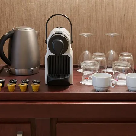 Singer Hotel 4*