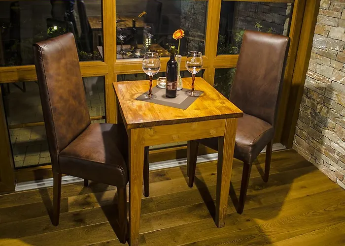 Hotel Singer Ludvíkov