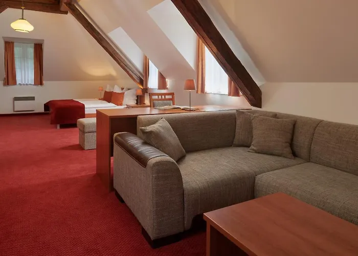Hotel Singer Ludvíkov