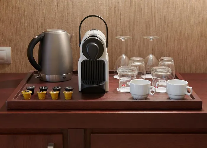 Singer Hotel 4*